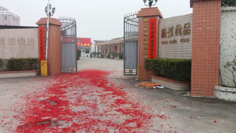 2016年2月12日香港親善團到廠參觀，打響新年第一炮！